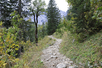 Fototapeta na wymiar Wanderweg im Karwendelgebirge in Österreich / Tirol