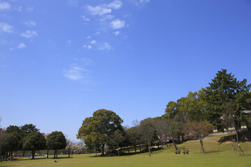 Obraz premium 奈良公園