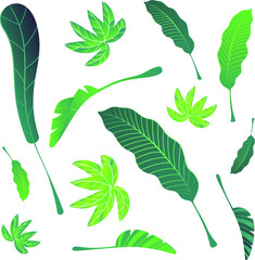 pattern set of green leaves