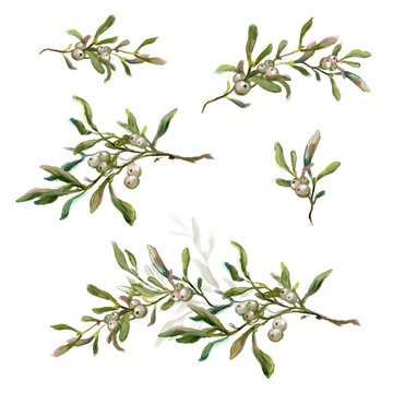 Watercolor collection of hand drawn mistletoe branches isolated on white background. Traditional Christmas decoration, winter plant, evergreen twig with berries. Vintage style botanical illustration.