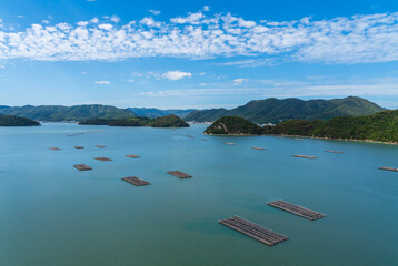 岡山県片上湾の牡蠣筏