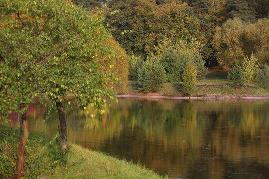 nuture park in outumn