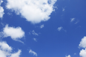 Obraz premium 青空