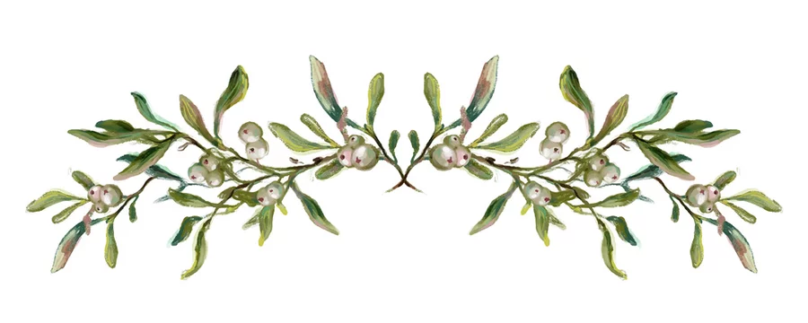 Hand drawn mistletoe border, vintage style illustration. Traditional Christmas floral decoration, festive garland, winter plant botanical watercolor.