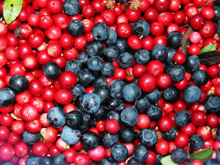 Natural cranberries and blueberries, red and blue berries