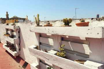 Urban garden of a rooftop with decorative recycled white pallet with pots, flowers, cactus and plants on an outdoors wall