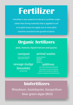 Основные RGB   Organic fertilizers types, composition.Vector. Infographics