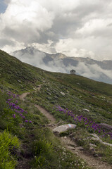 Fototapeta premium footpath in the mountains of the caucasus