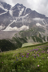 alpine meadow in the mountains and a mountain lake