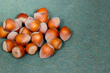 Heap of hazelnuts covered in brown shell,close up view of wholesome raw nuts isolated on blue...