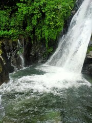 Fototapeta premium waterfall in the forest