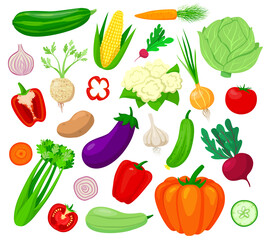 Vegetables vector illustration set. Cartoon flat veg collection of tomato carrot eggplant cabbage pepper pumpkin cucumber garlic onion slices, vegetarian fresh farm market food set isolated on white