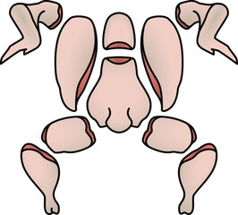 Chicken cuts: eight / ten pieces.