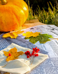 Thanksgiving or Halloween day concept. Festive autumn decor of pumpkin, red berries and leaves.