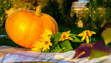 Thanksgiving or Halloween day concept. Autumn season of pumpkins. Pumpkin, yellow flowers and autumn leaves on a blurred background of autumn garden.