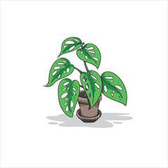 Faux monstera tree vector illustration nice for brochure, wall decoration