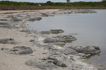 Stromatolites on Lake Tethys Western Australia