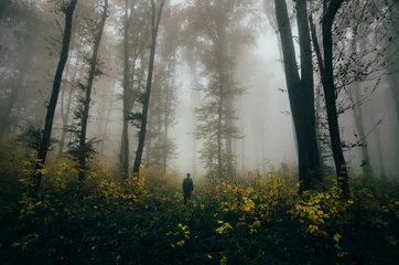 Fotobehang man in autumn woods, fantasy forest landscape © andreiuc88