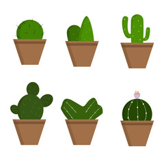 A set of cactus in pots