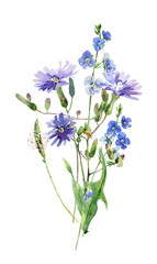 Watercolor small bouquet of blue wild flowers