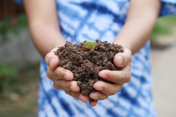 Agriculture. Farmer and nature baby plant in hands.