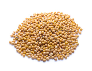 Soybeans  isolated on white background