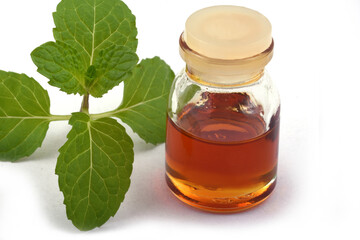 Organic essential mint oil in a small glass jar with green mint leaves,Health and beauty,still life spa concept.Copy space background