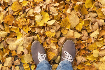 Legs in sport shoes standing on yellow golden autumn dry leaves. Feet in shoes walking in fall nature