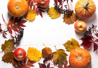 Naklejka na ściany i meble Pumpkin, apples, dry leaves, wild grapes on a white wooden background. Autumn composition. Fall, fall, halloween, thanksgiving concept, flat lay, place for text.