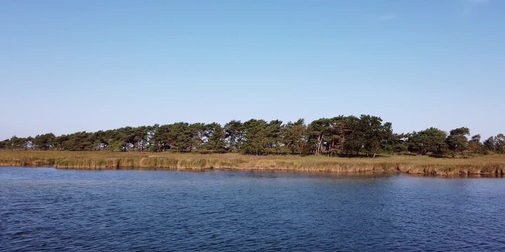 Schilfufer am Bodden