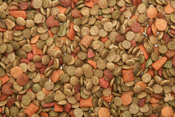 bones and colorful sticks for dog treat with vitamin and oral health on white background