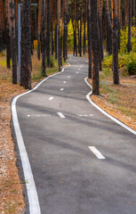 A winding Bicycle and running paved path in the autumn forest