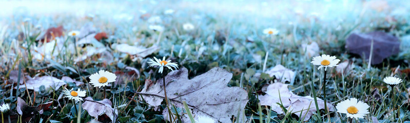 Misty morning in the Autumn park. Soft nature background