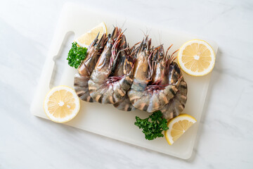 fresh tiger prawn or shrimp