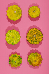 Colorful pattypan squash on pink background. Top view.