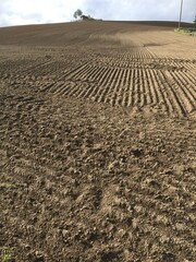 Obraz premium plowed field in winter