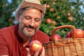 Portrait of a Farmer in a Straw Hat With A Basket of Appetizing Red Apples