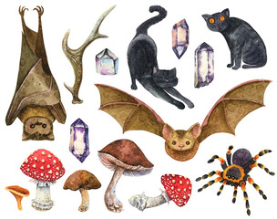 Watercolor animals. Bat and black cat, tarantula spider. Amanita mushrooms, porcini,  chanterelle. Deer horn, quartz crystals.