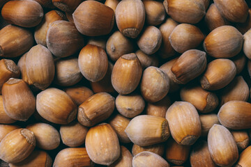 Pile of nuts.Hazelnuts. Corylus avellana. Macro photo, close up, top view.