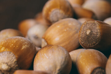 Pile of nuts. Hazelnuts. Whole nuts. Macro photo.