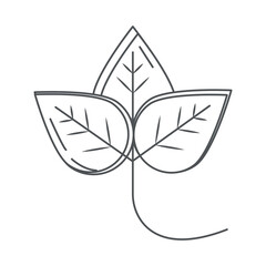 leaves organic ecology nature line icon style