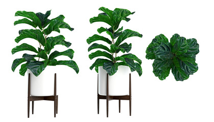 Modern plant pot isolated on white background, Scandinavian interior home decoration. Top view and...