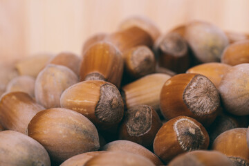 Pile of nuts.Hazelnuts. Whole nuts. Corylus avellana. Macro photo, close up.