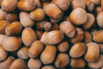 Pile of nuts.Hazelnuts. Corylus avellana. Macro photo, close up, top view.