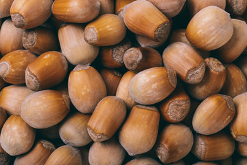 Pile of nuts.Hazelnuts. Corylus avellana. Macro photo, close up, top view.