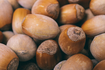 Pile of nuts.Hazelnuts. Whole nuts. Corylus avellana. Macro photo, close up.