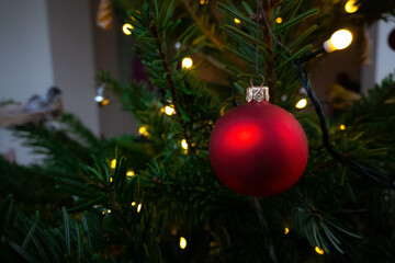Fototapeta na wymiar Red Christmas tree ball decoration hanging on green spruce branch surrounded by festive lights. Space for text