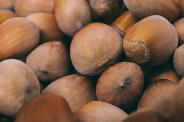Pile of nuts.Hazelnuts. Whole nuts. Corylus avellana. Macro photo, close up.