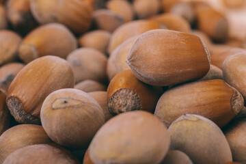 Pile of nuts.Hazelnuts. Whole nuts. Corylus avellana. Macro photo, close up.