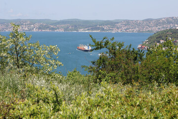 Bosphorus İstanbul